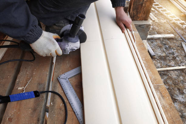 Best Siding Painting and Refinishing  in Kirksville, MO