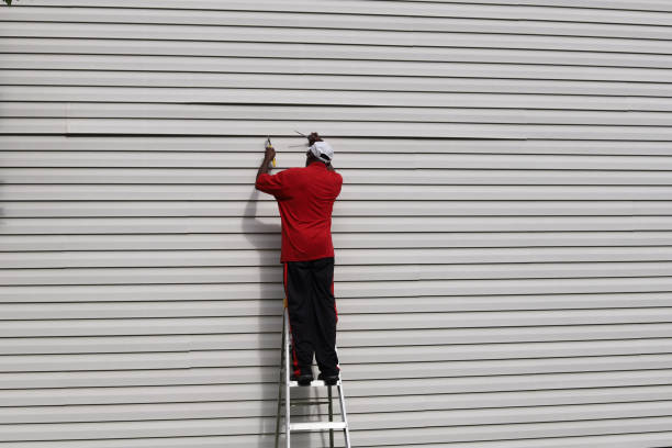 Best Fascia and Soffit Installation  in Kirksville, MO